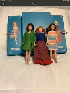 Vinegar Barbie skipper, dolls, rare case and clothing, huge lot